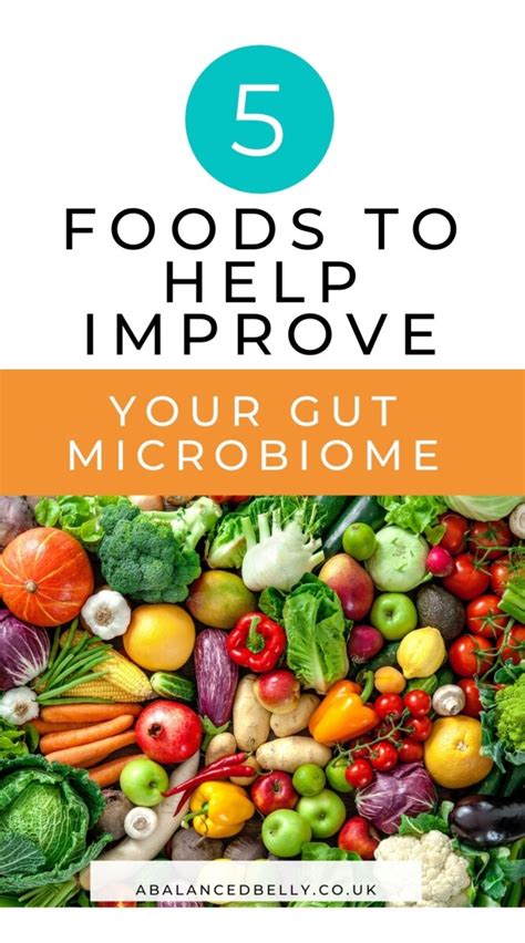 Best Foods For Healthy Gut Microbiome