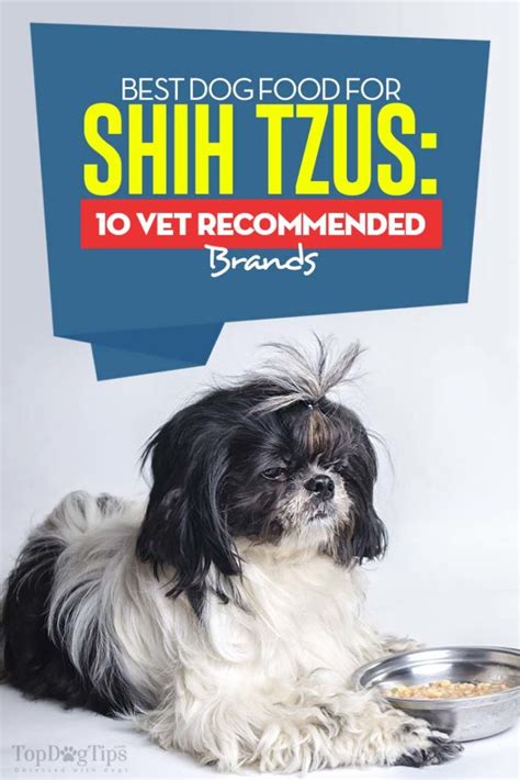 Best Healthy Dog Food For Shih Tzu