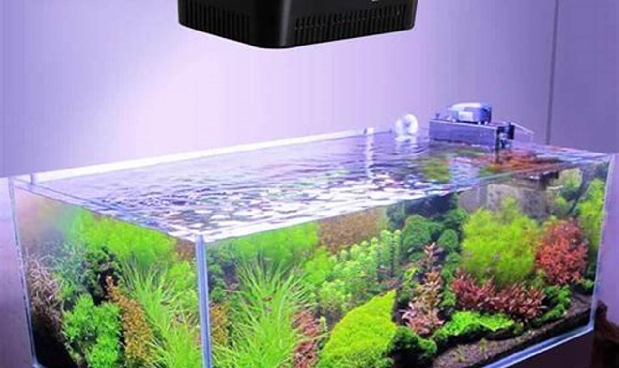 Best Planted Aquarium Light