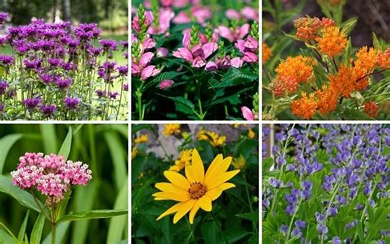 Best Plants For Ohio'S Climate