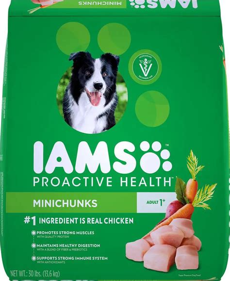Best Rated Healthy Dog Food
