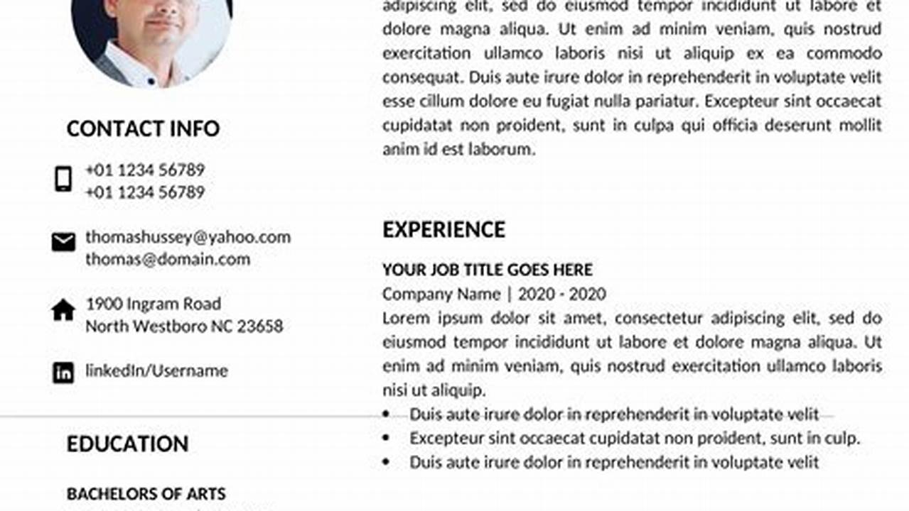 Best Resume Format 2024 Examples Pdf Download