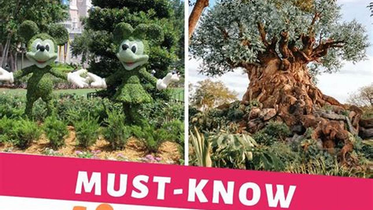 Best Tips For Disney World 2024