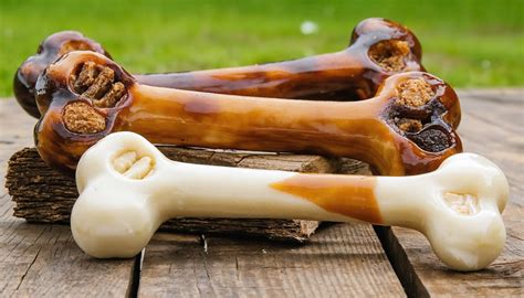 Best Best Bones For Chewing Dogs