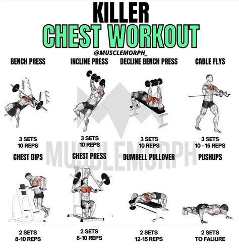 Best Chest Workout