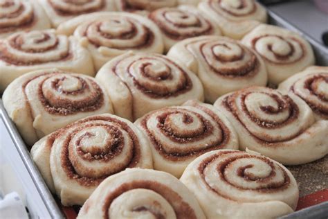 Best Cinnamon Roll Recipe