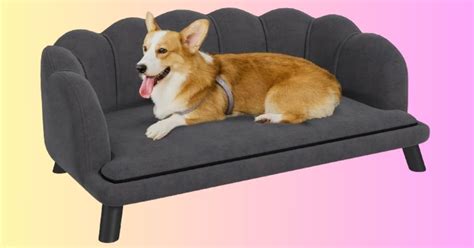 Cuddly Comfort for Your Furry Companion: Discover the Perfect Couch for Loving Dog Owners