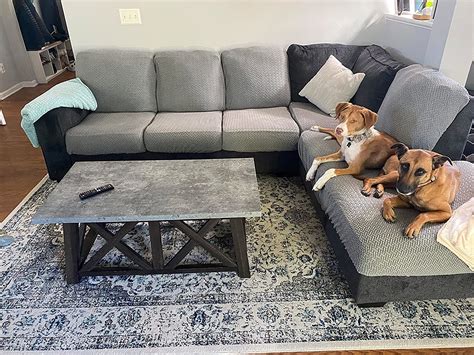 Keep Your Furry Friend Happy and Comfortable with Our Top Picks for the Best Pet-Friendly Couches