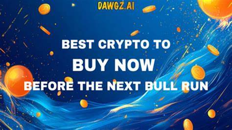 Best Crypto To Buy Before Bull Run
