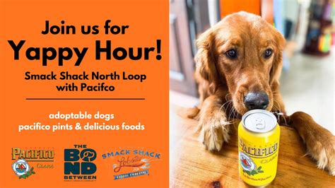 Best Dog Friendly North Loop Smack Shack