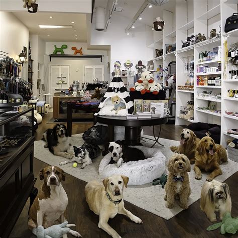 Best Dog Friendly Store Near Me