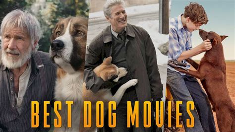 Best Dog Movie Name