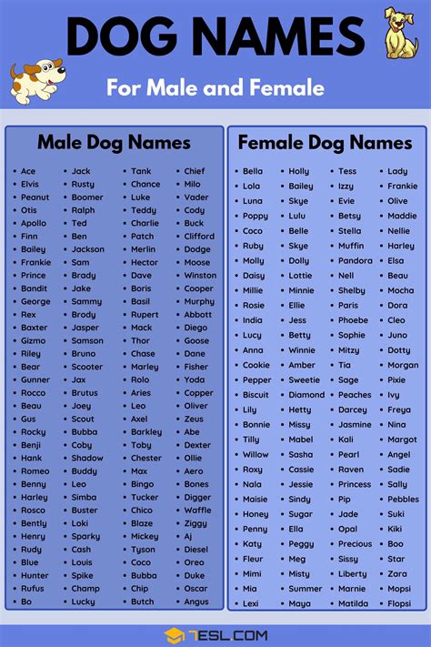 Best Dog Names In English