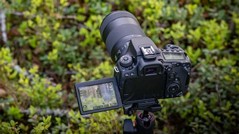 Top DSLR Cameras For Beginners 2018 ePHOTOzine