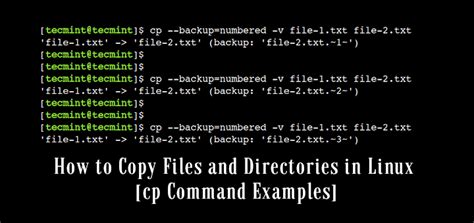 Best Examples of cp Command in Linux