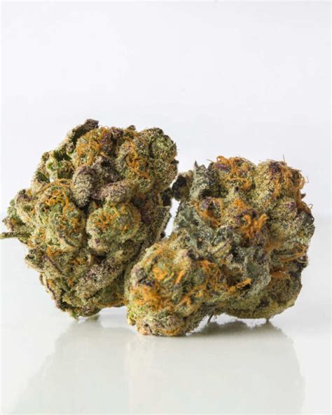 Best Exotic Weed