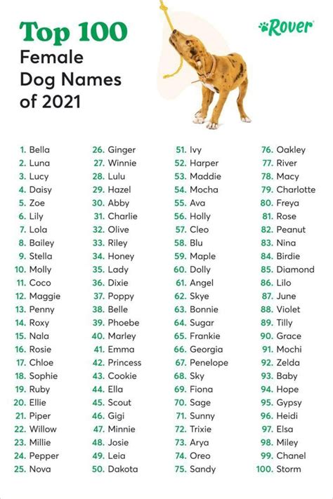 Best Female Dog Names