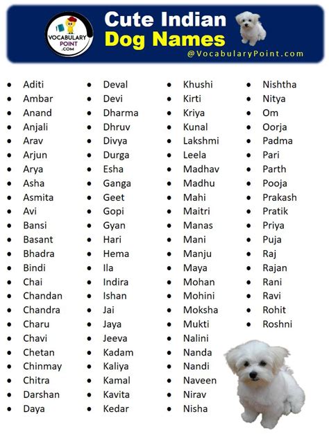 Best Female Dog Names Indian