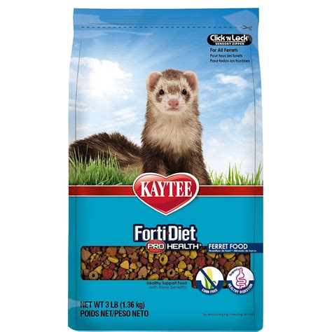 Best Ferret Food