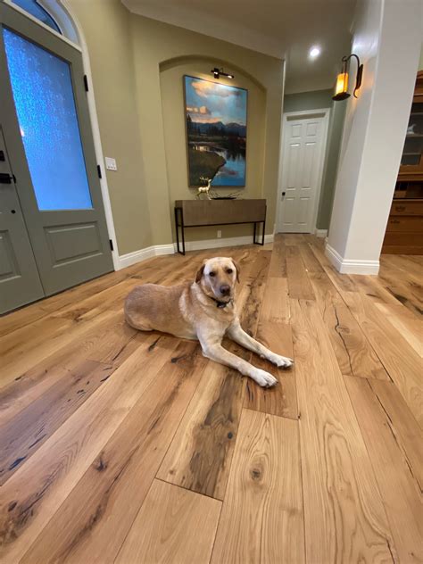 Best Floors For Dogs