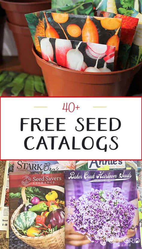 Best Free Seed Catalogs