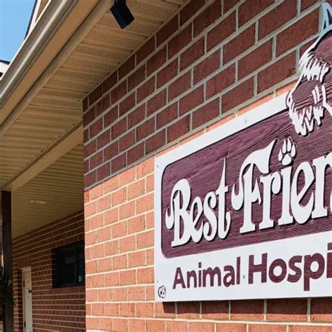 Discover Top-Quality Care for Your Furry Friend at Best Friends Animal Hospital Chambersburg