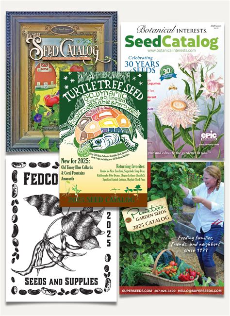 Best Garden Catalogs To Order Seeds