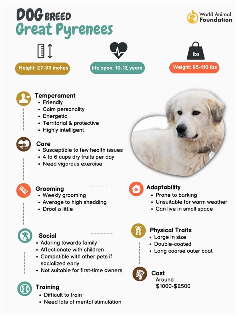 Best Great Pyrenees Temperament