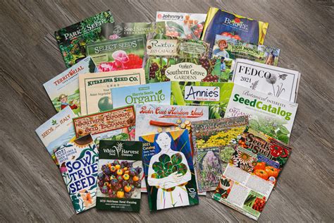 Best Heirloom Seed Catalogs