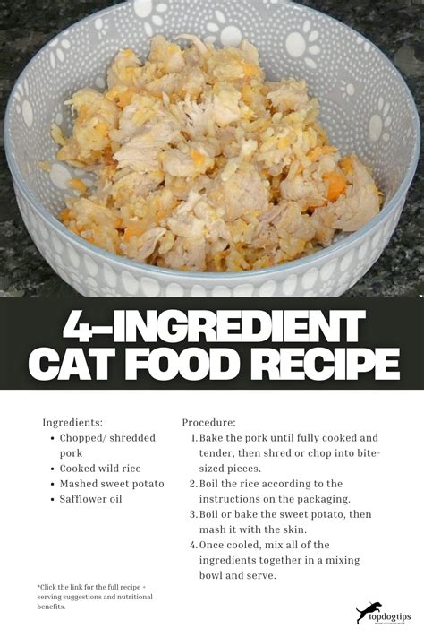 Best Homemade Cooked Cat Food Recipe