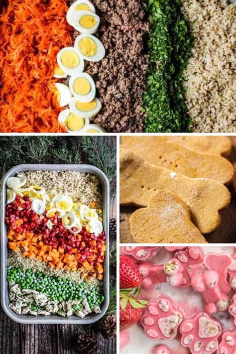 Best Homemade Pet Food Recipes