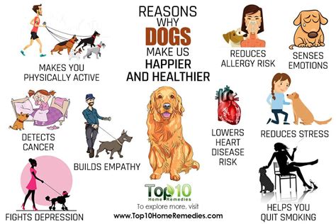 Best How Dogs Make You Happier Healthier