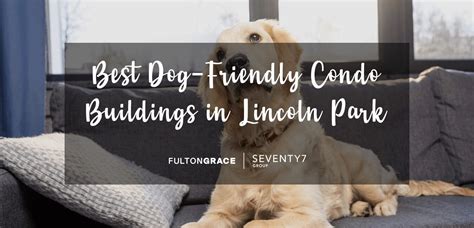Best How To Find A Dog Friendly Condo