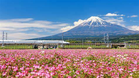 Best In The World Japan