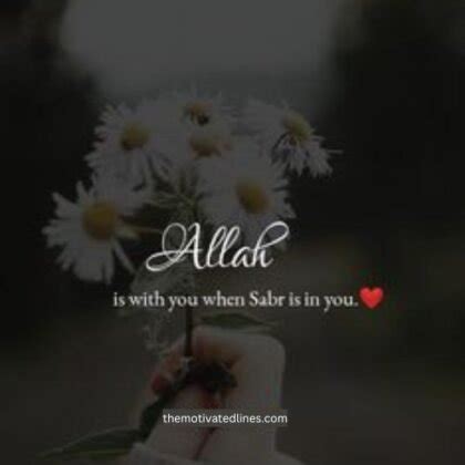 Best Islamic Dp Quotes