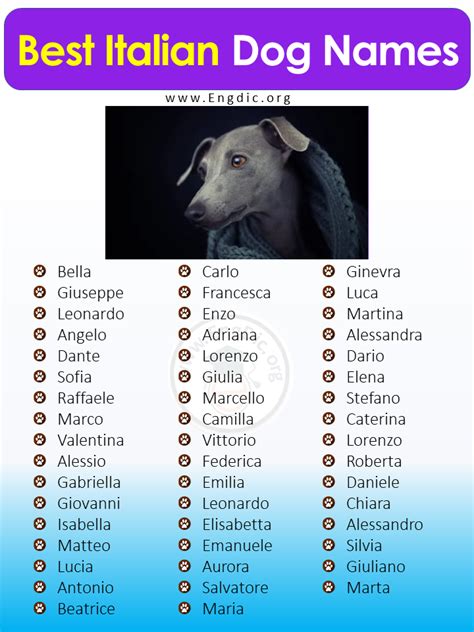 Best Italian Dog Names