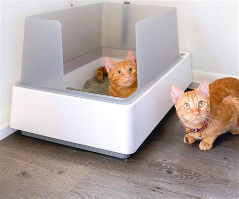 Experience Unparalleled Hygiene and Comfort for Your Feline Friend: Discover the Best Litter Box for Cats Today