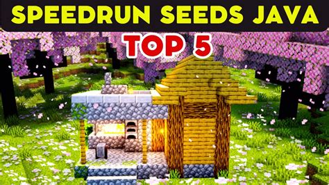 Best Minecraft Java Speedrun Seeds