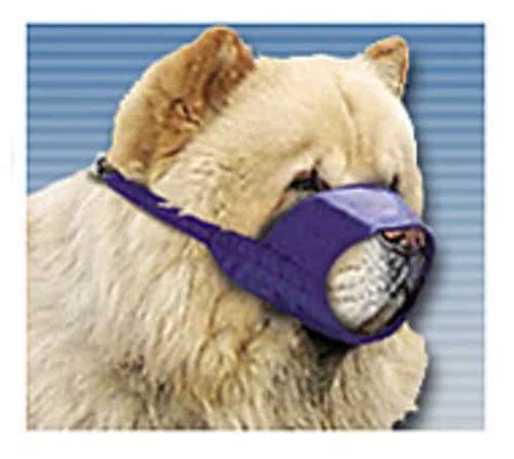 5 Best Dog Muzzles for Chorkies (Reviews Updated 2022)