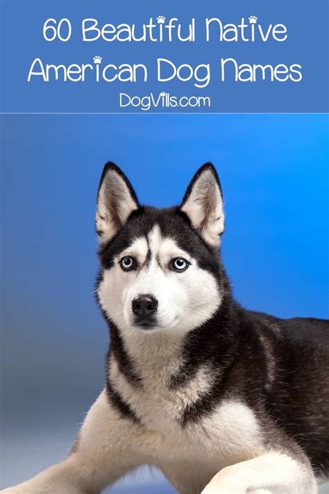 Best Native American Dog Names