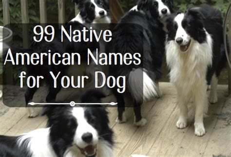Best Native American Male Dog Names