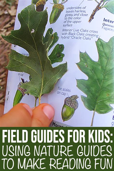 Best Nature Guide