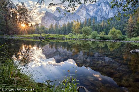 Best Nature Photography