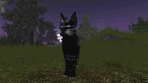 Best OC ideas for Roblox Warrior Cats - Ultimate Edition - Pro Game 