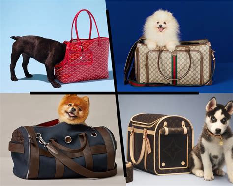 Best Of Designer Dog Bags
