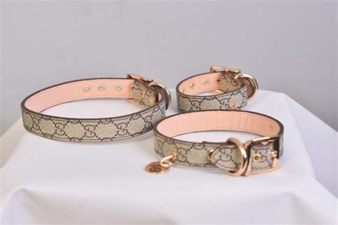Best Of Dogs Gucci Collar