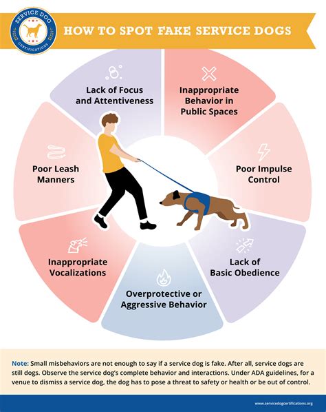 Best Of Fake Service Dogs