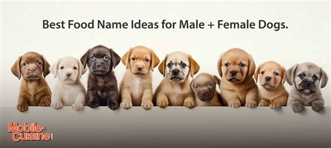 Best Of Food Name For Dogs