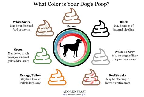 Best Of Green Dog Poop