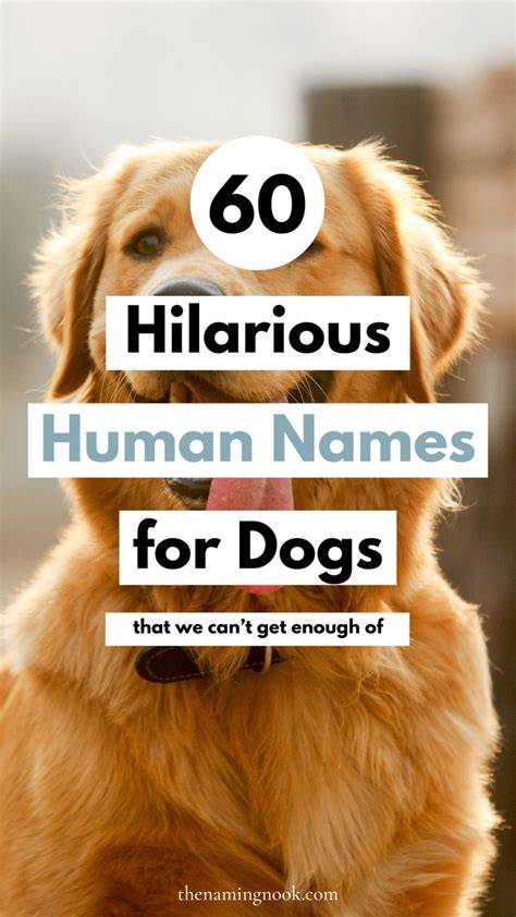 Best Of Human Names For Dogs
